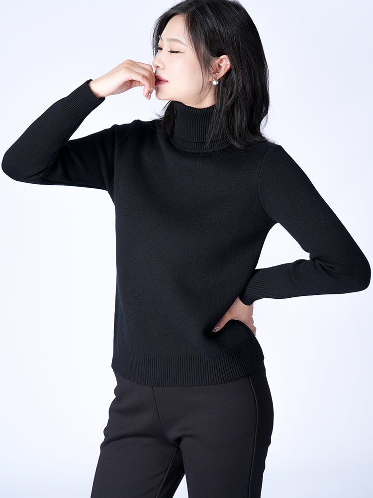 ハイネック 極厚 ニットセーター