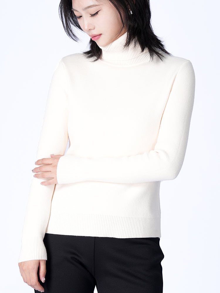 ハイネック 極厚 ニットセーター