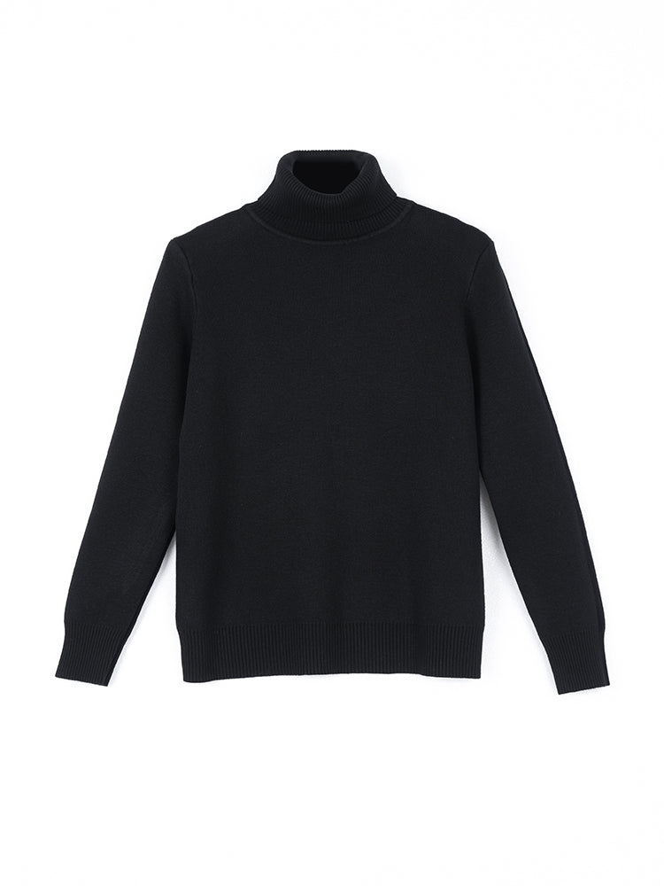 ハイネック 極厚 ニットセーター